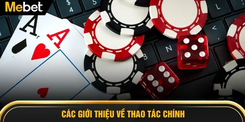 Các giới thiệu về thao tác chính