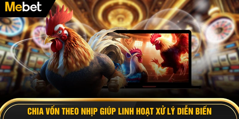 Chia vốn theo nhịp giúp linh hoạt xử lý diễn biến