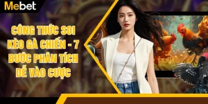 Công Thức Soi Kèo Gà Chiến - 7 Bước Phân Tích Dễ Vào Cược