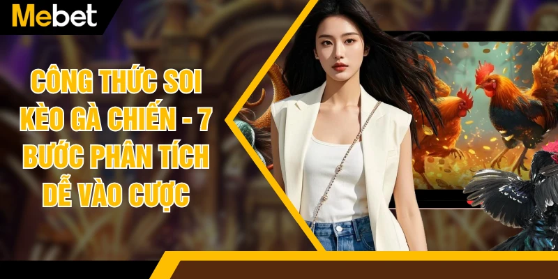 Công Thức Soi Kèo Gà Chiến - 7 Bước Phân Tích Dễ Vào Cược