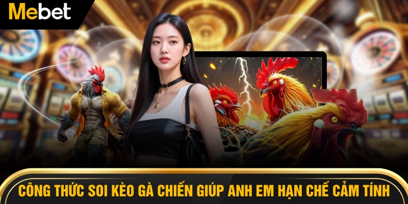 Công thức soi kèo gà chiến giúp anh em hạn chế cảm tính