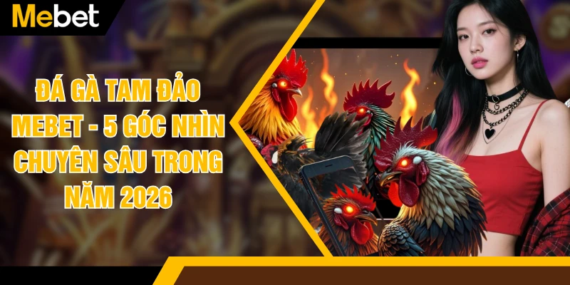 Đá Gà Tam Đảo MEBET - 5 Góc Nhìn Chuyên Sâu Trong Năm 2026