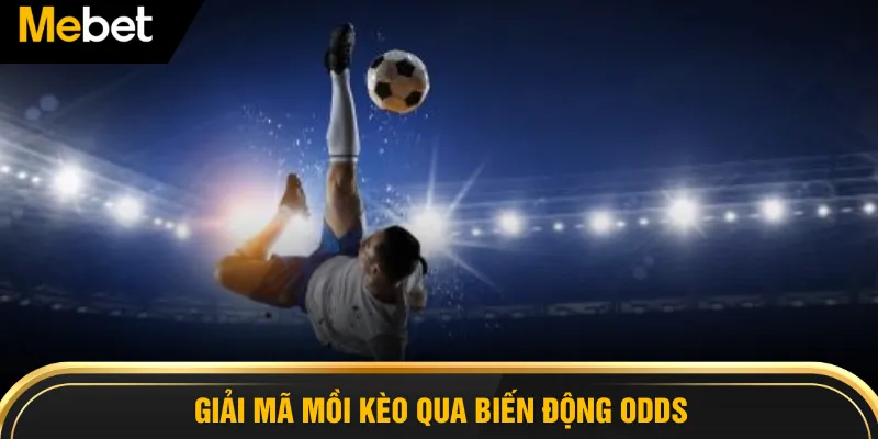 Giải mã mồi kèo qua biến động odds