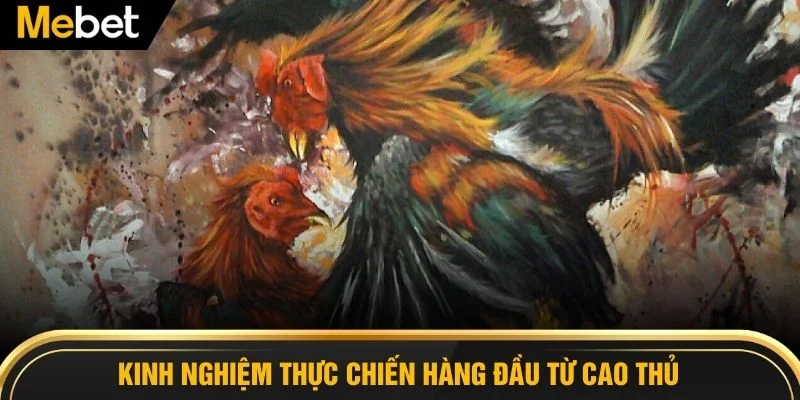 Kinh nghiệm thực chiến hàng đầu từ cao thủ 