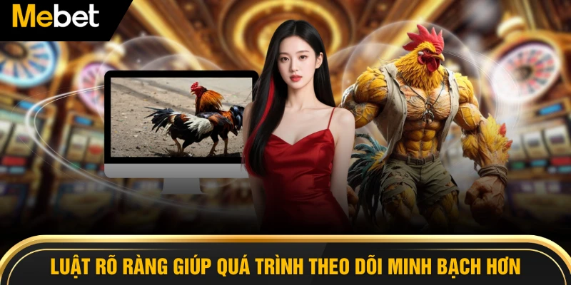 Luật rõ ràng giúp quá trình theo dõi minh bạch hơn