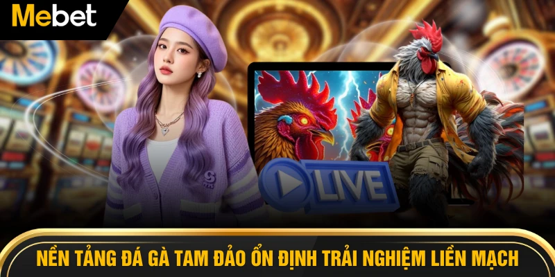 Nền tảng đá gà tam đảo ổn định giúp trải nghiệm liền mạch hơn