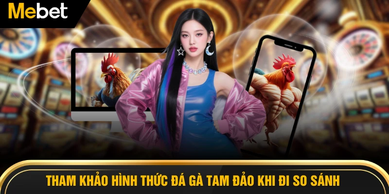 Tham khảo hình thức đá gà tam đảo khi đi so sánh