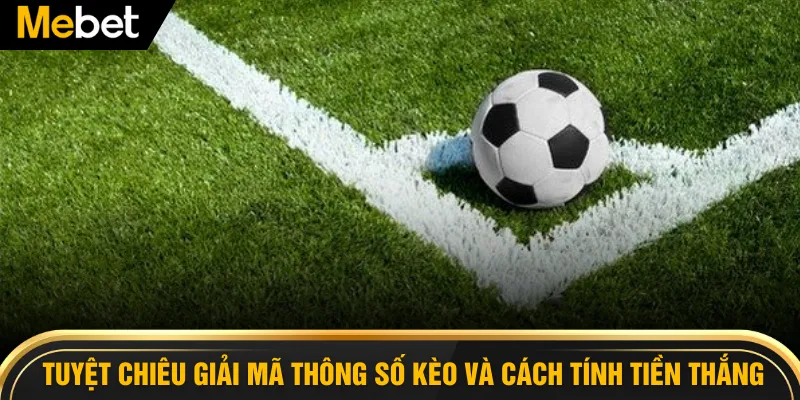 Tuyệt chiêu giải mã thông số kèo và cách tính tiền thắng 